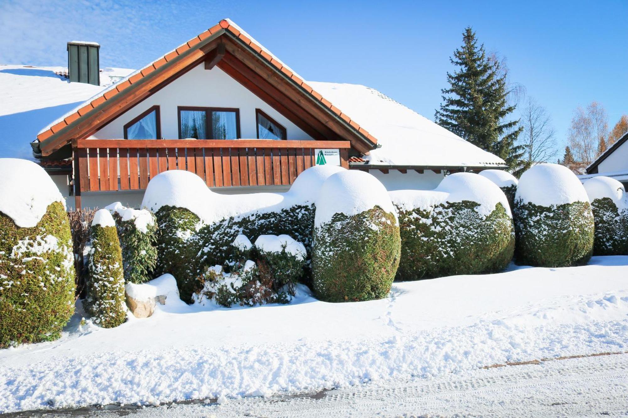 Gästehaus RIESENBÜHL Schluchsee Exterior foto