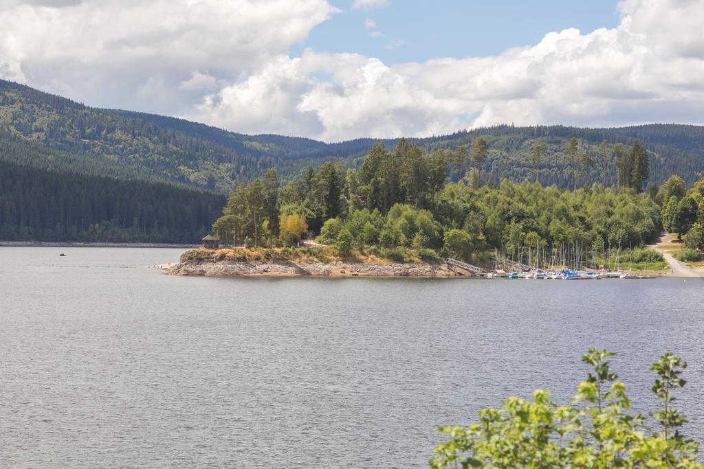 Hotel Gästehaus RIESENBÜHL Schluchsee Exterior foto