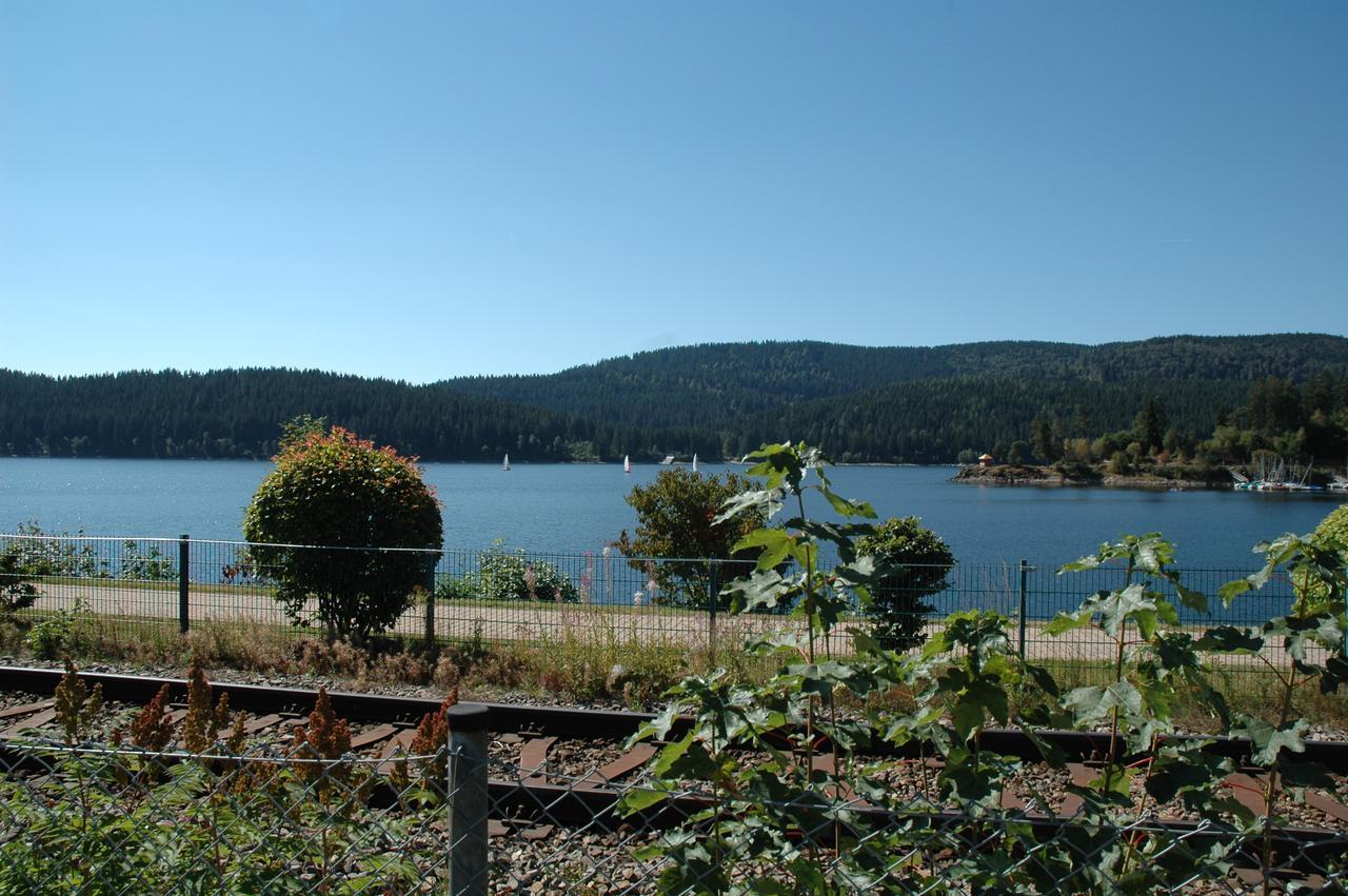 Hotel Gästehaus RIESENBÜHL Schluchsee Exterior foto